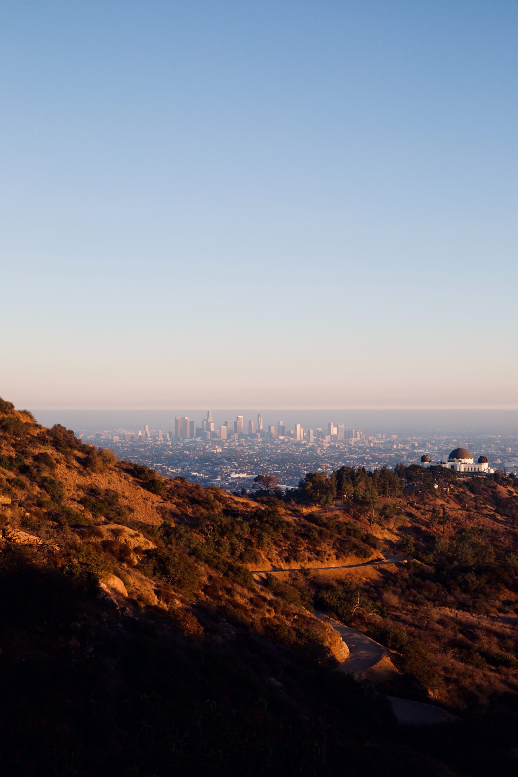 Griffith Park View for Single Men in Los Angeles View of Downtown Los Angeles and Griffith Observatory from the hills of Griffith Park at sunset.
