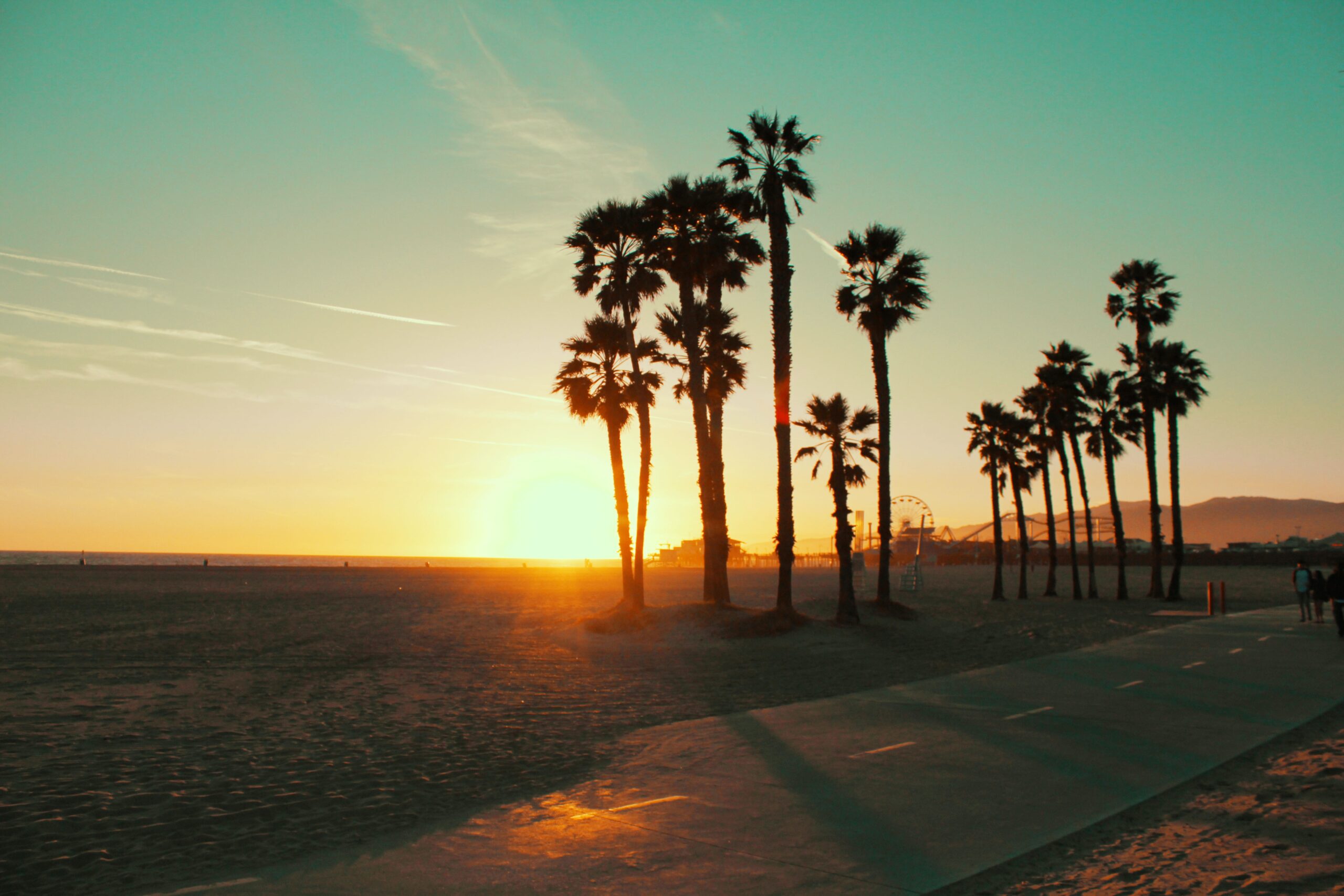 Santa Monica Date Idea for Single Men in Los Angeles Sunset over Santa Monica Beach with palm trees, a beach path, and the Santa Monica Pier in the distance.
